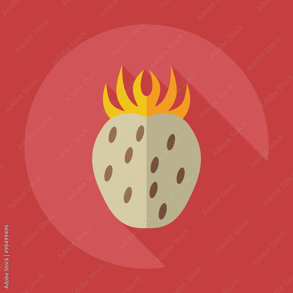 Flat modern design with shadow icons Strawberry Flat modern design with shadow icons Strawberry