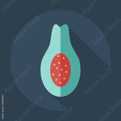 Flat modern design with shadow icons avocado