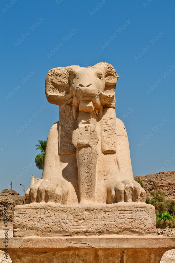statue of a sphinx with ram's head in Karnak Temple