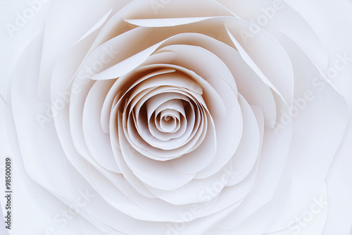 beautiful paper Flower background #98500089