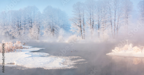 Frosty white winter trees in front of the blue sky. Misty morning on the lake © alexugalek