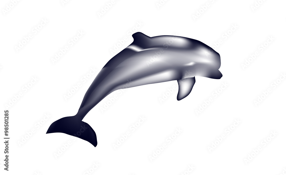 Obraz premium Delfin