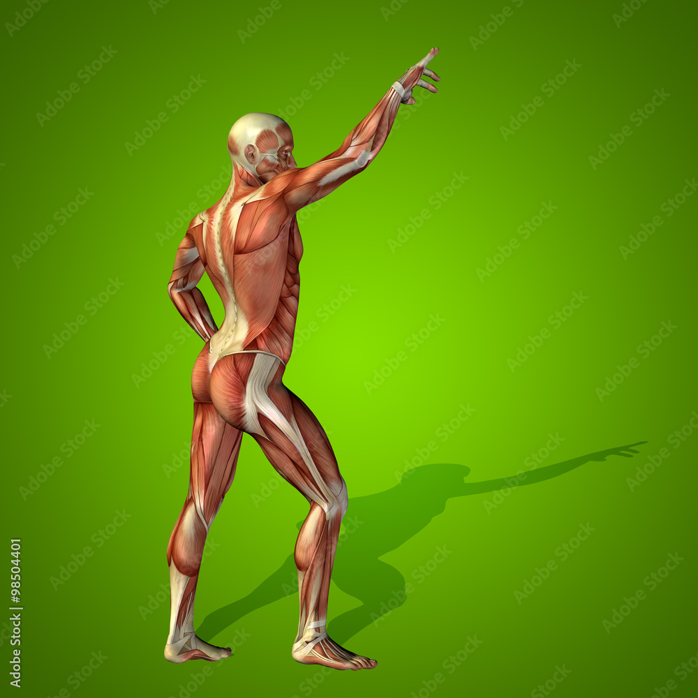 Conceptual 3D human man health anatomy Conceptual 3D human man health anatomy