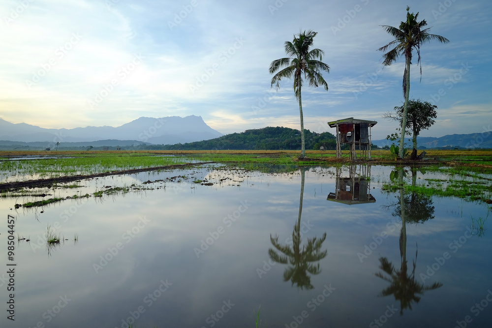 Morning view of peaceful village with Mount Kinabalu perfect reflection. 