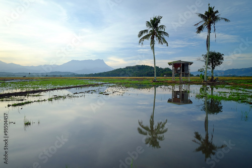 Morning view of peaceful village with Mount Kinabalu perfect reflection. 