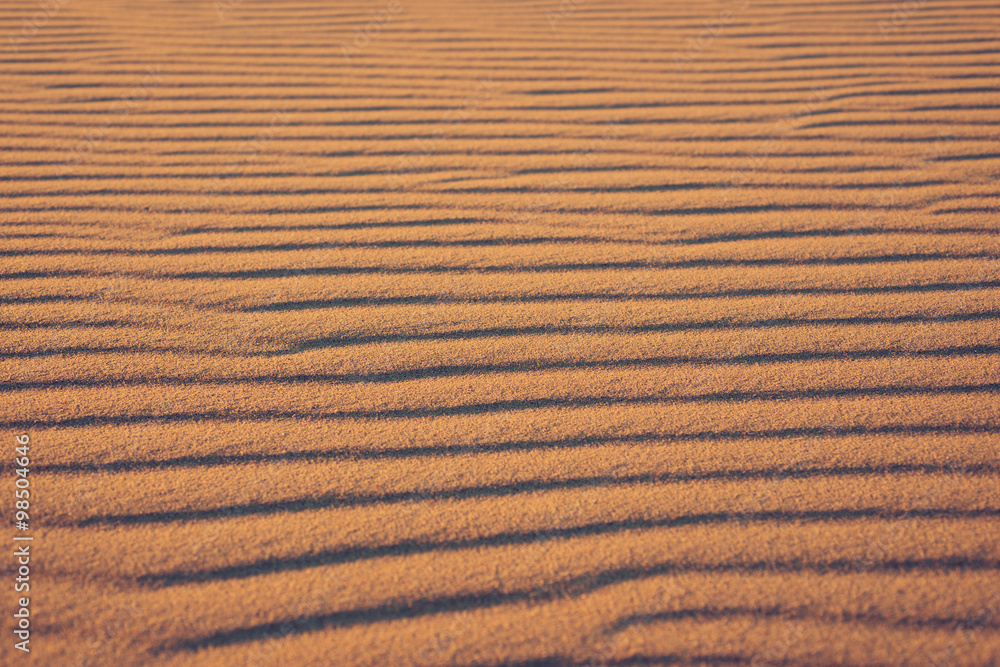Striped pattern on a sand dune Striped pattern on a sand dune