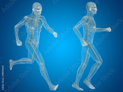 Conceptual man or human wireframe 3D anatomy or body on blue