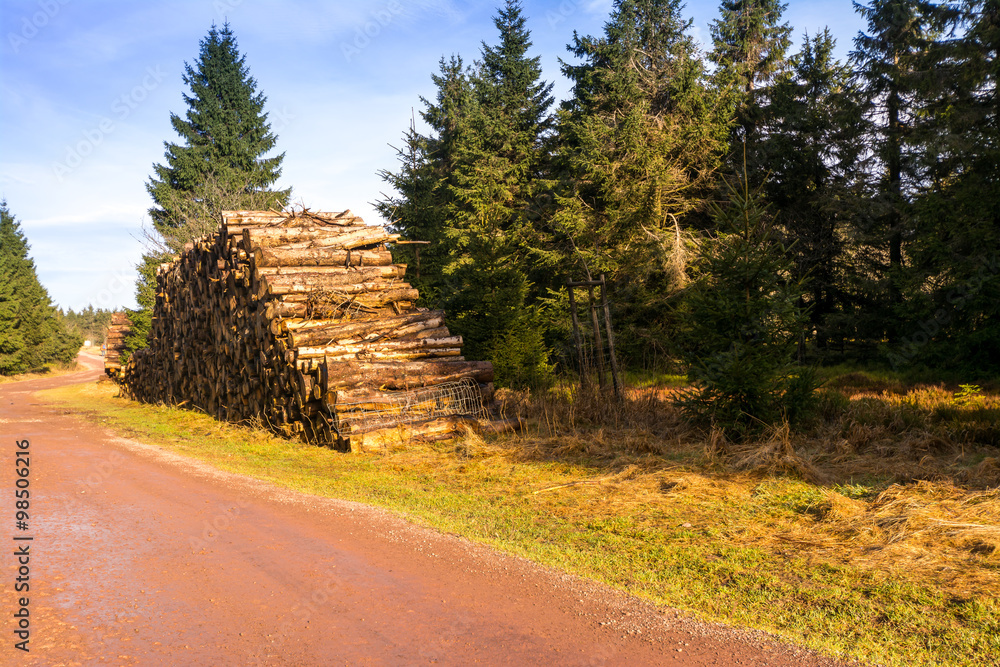 Thüringer Wald - Schneekopf