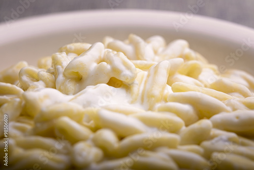 macro pasta gorgonzola and cream in a plate for food background