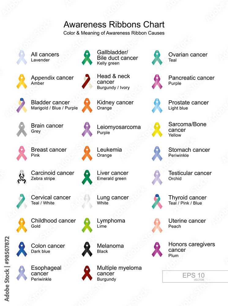 Awareness Ribbons Chart Color & Meaning of Awareness Ribbon Causes Stock  Vector | Adobe Stock