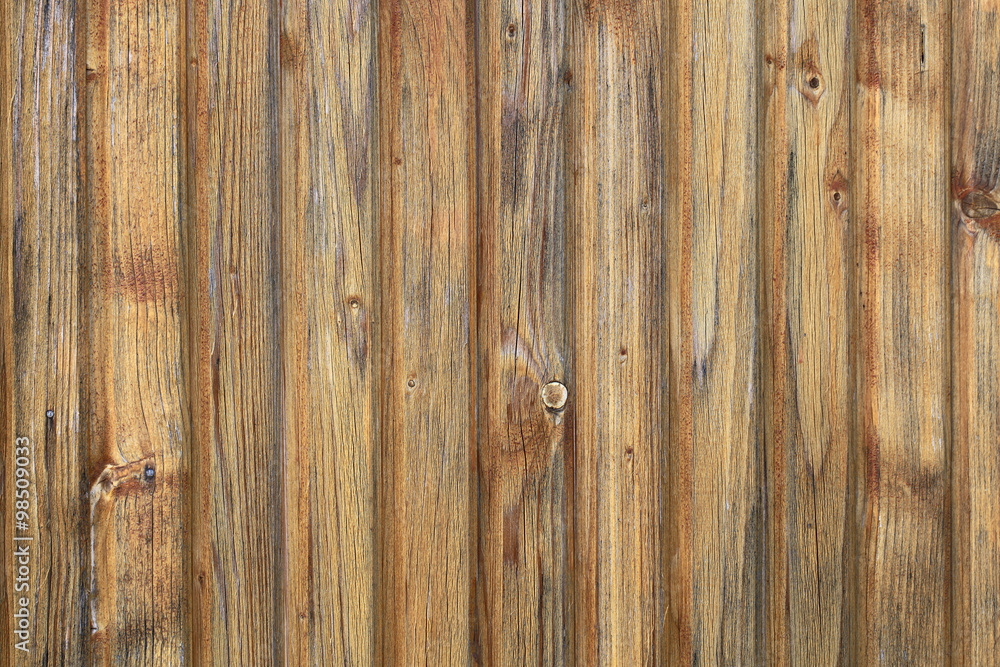 Blind close boarded fence Blind close boarded fence