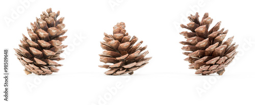 Group of pincones