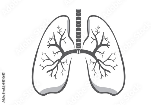 Lung symbol gray color on isolated background for logo design, web icon and other job about medical and health.