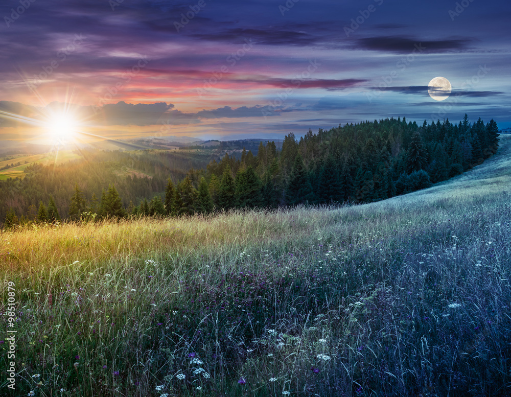 day and night composite image of large meadow with herbs,  trees in mountain area - obrazy, fototapety, plakaty 