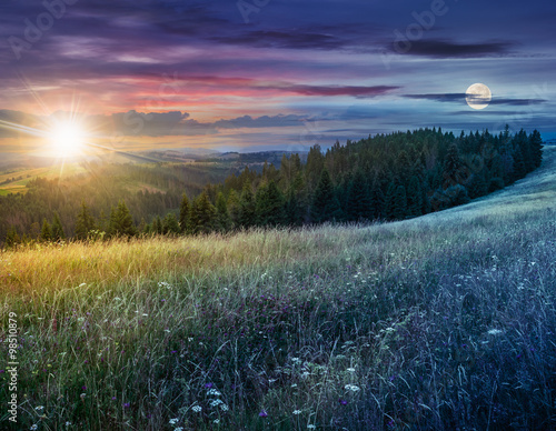 day and night composite image of large meadow with herbs,  trees in mountain area