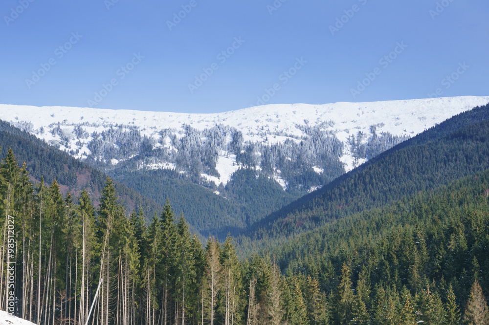 Snowy peak of Carpathian mountains