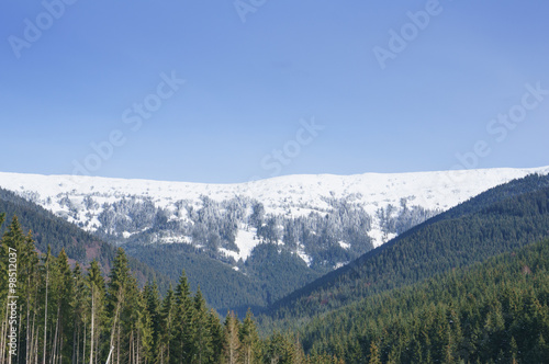 Snowy peak of Carpathian mountains at winter time © juhrozian