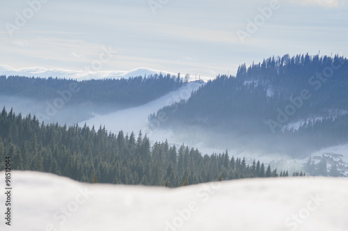 Fog over snowy hill and fir trees at winter time