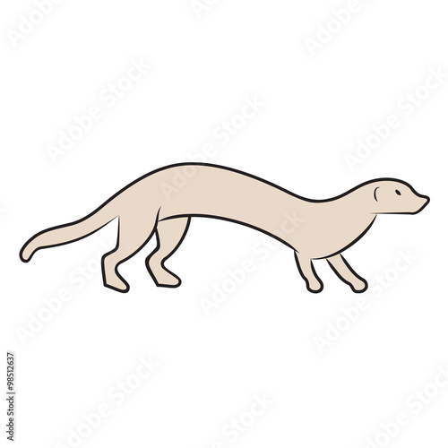 Marder, Wiesel - Illustration