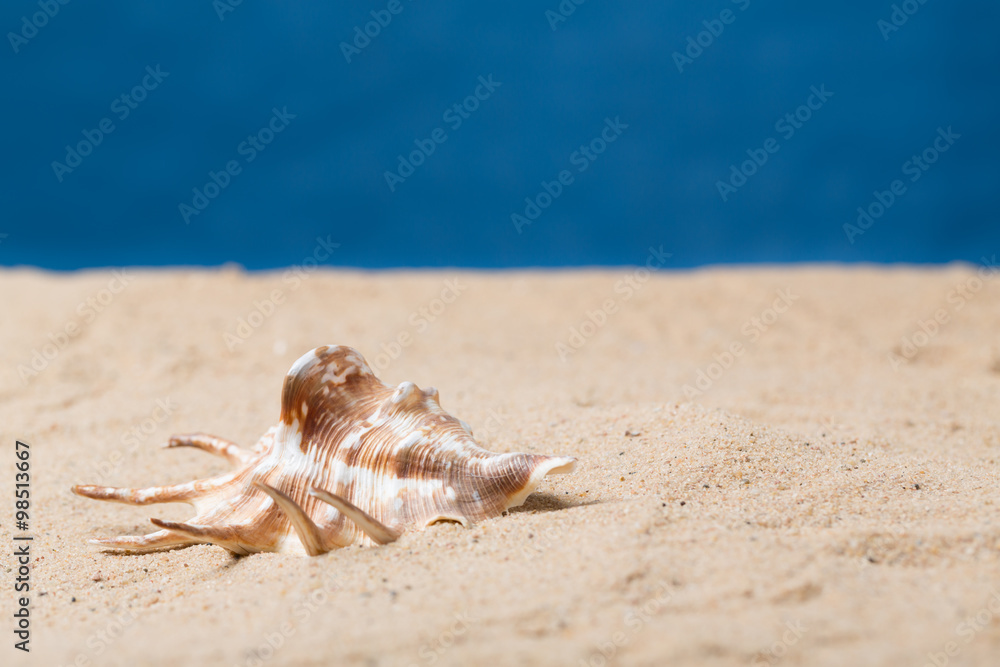 Raus aus dem Schneckenhaus
