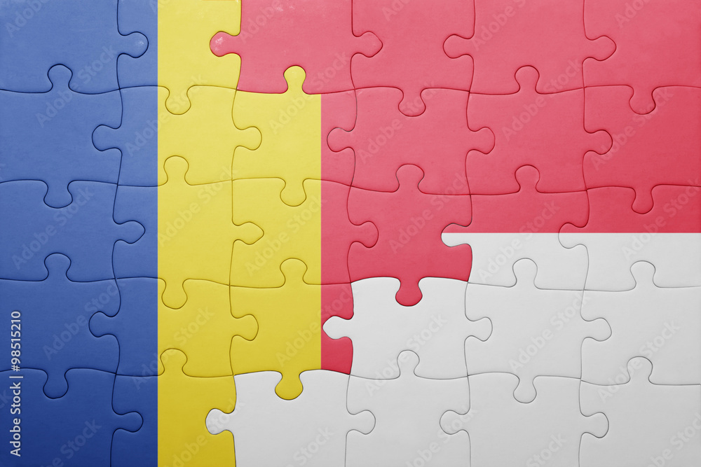 puzzle with the national flag of indonesia and romania puzzle with the national flag of indonesia and romania