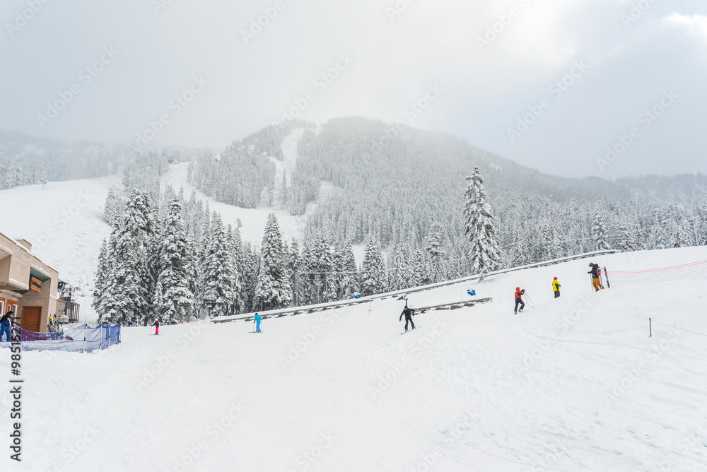 scenic view of small people play ski in snow mountain,Washington,USA. scenic view of small people play ski in snow mountain,Washington,USA.