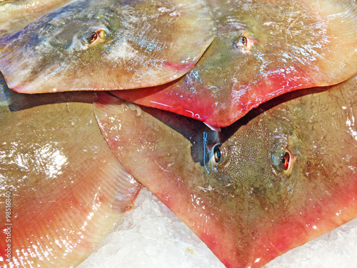 stack of sting ray on ice at the market photo