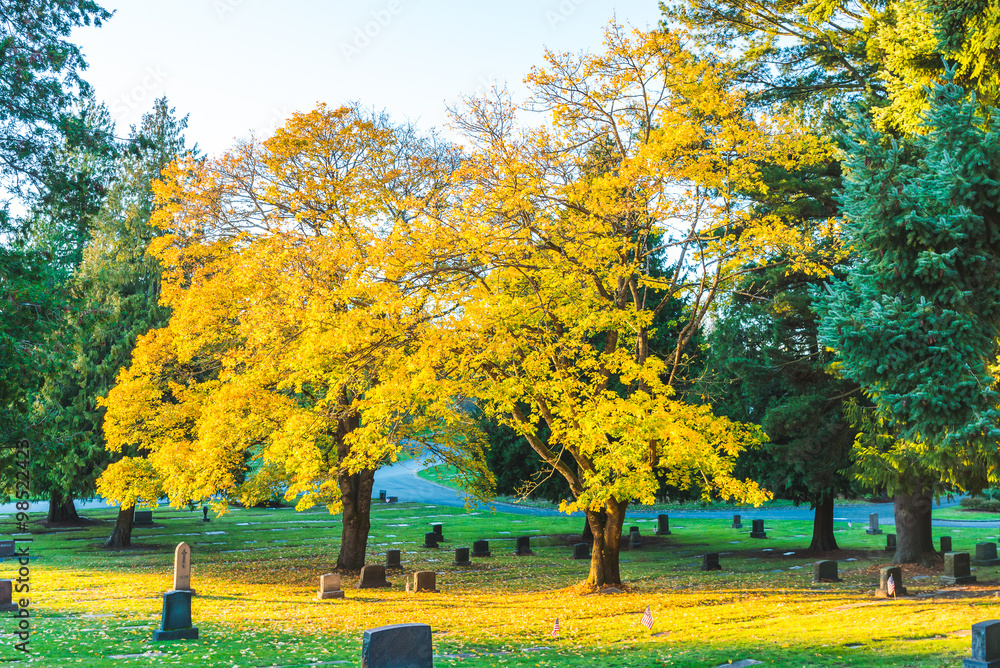 autumn in grave yard ,National Cemetery with a flag on Memorial day in Washington,Usa. autumn in grave yard ,National Cemetery with a flag on Memorial day in Washington,Usa.
