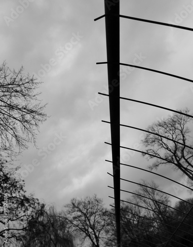 Baumwipfel am Himmel mit Zaun photo