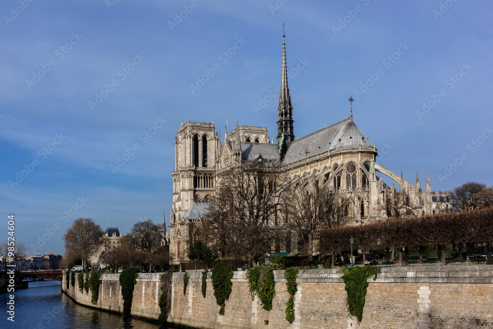 Cathedral Notre Dame de Paris on Cite Island, Paris, France.