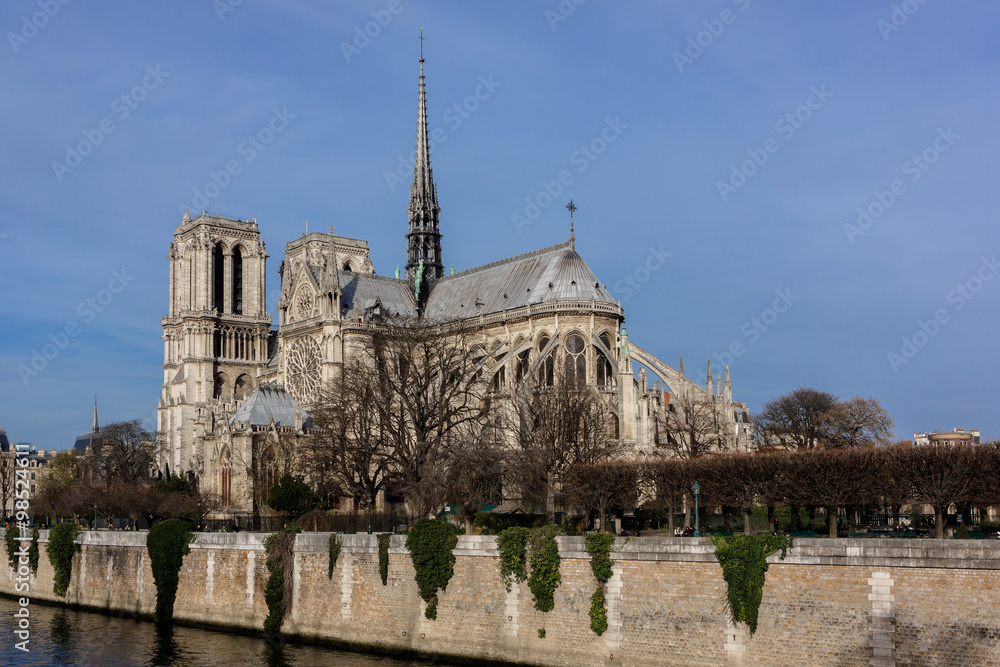 Cathedral Notre Dame de Paris on Cite Island, Paris, France.