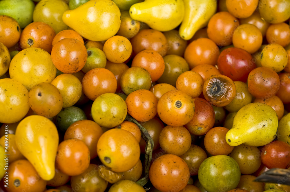 Strange Tomatoes Strange Tomatoes