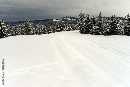 Yellowstone Winter Road Snowing