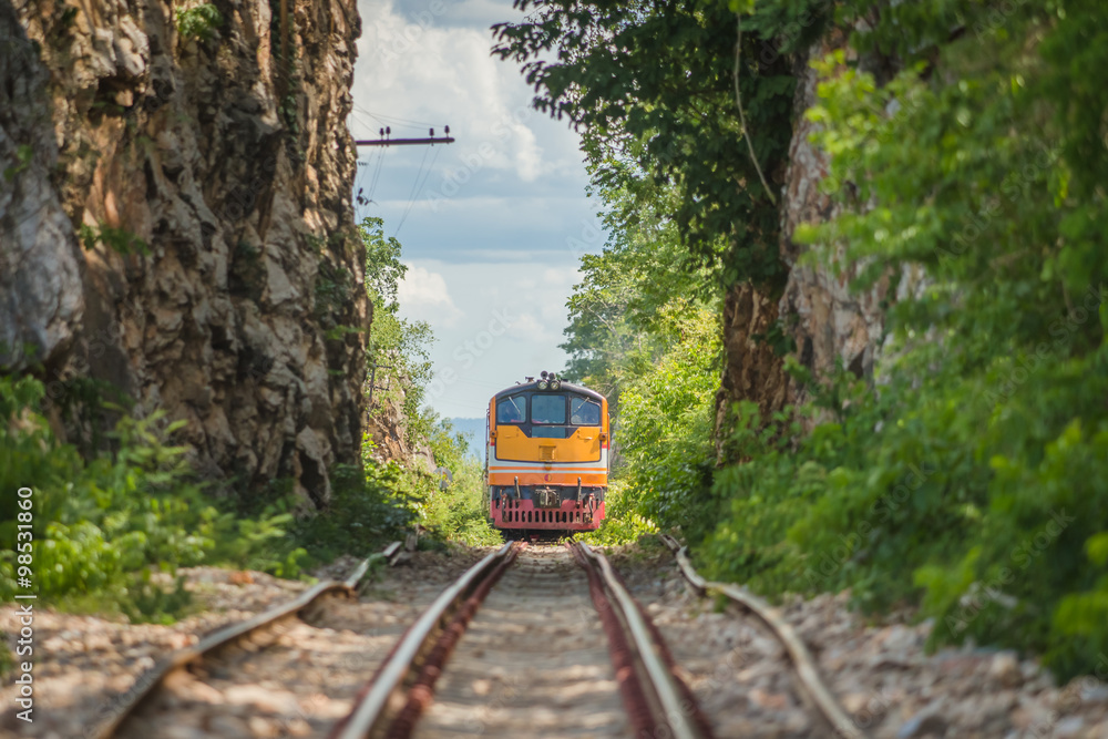Fototapeta premium Train runs through a narrow gorge in the valley.