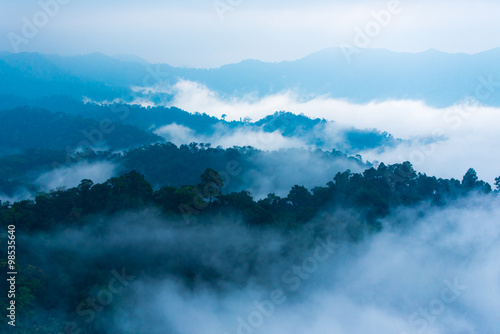 The Jungle at Kaengkrachan National Park in Thailand. © fasndee