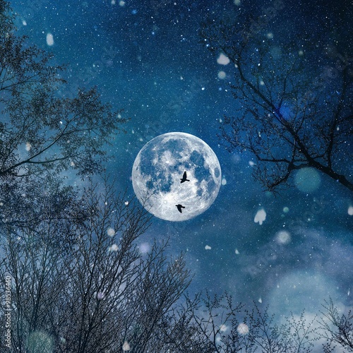 雪降るクリスマスの夜