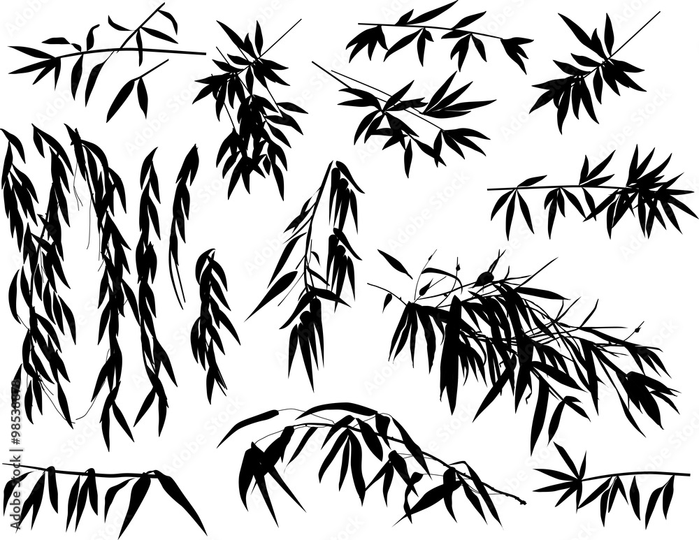 Naklejka premium isolated bamboo plant black silhouettes collection