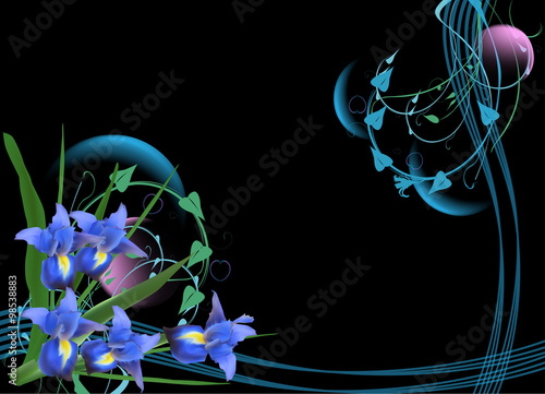 composition with iris flowers on black