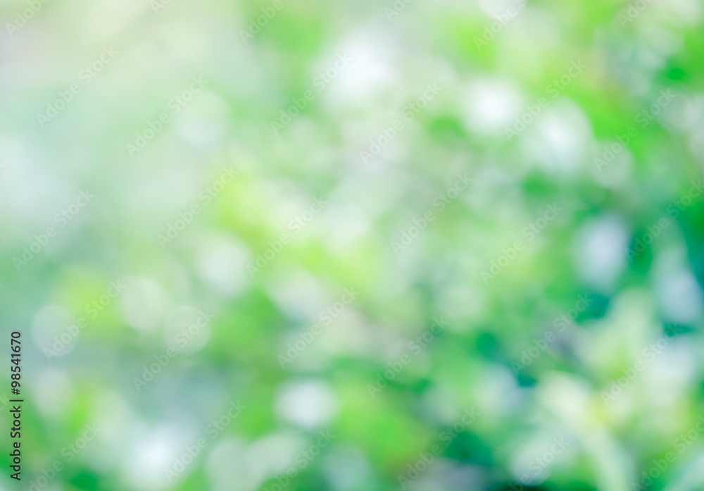 Fototapeta premium Abstract nature background image