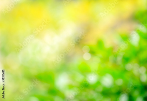 Abstract nature background image