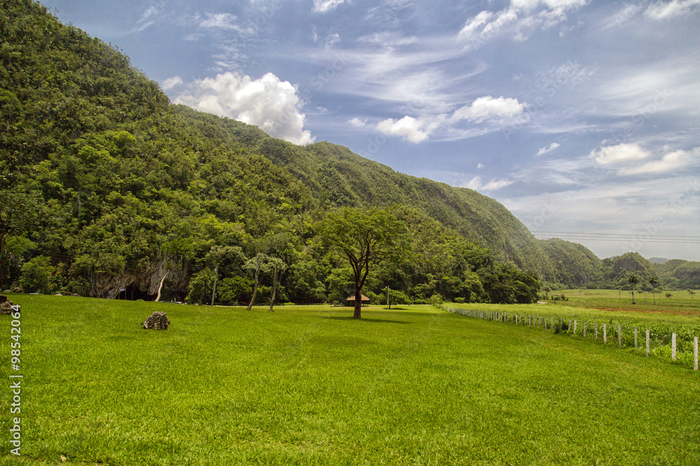 Fototapeta premium Vinales Tal Kuba