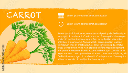 Infographic with fresh carrots