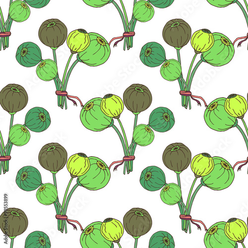 Seamless pattern with poppy flower heads, seeds. Hand drawn vector illustration 