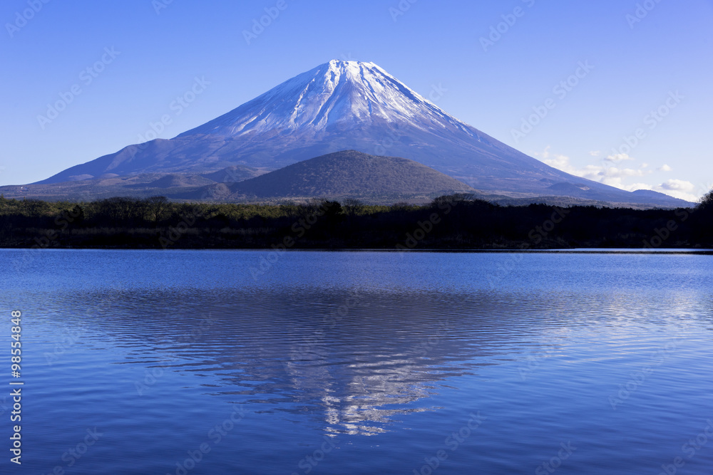 精進湖より富士山