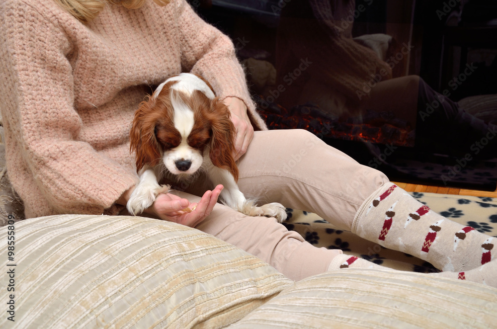 Obraz premium Lady and dog (Cavalier King Charles spaniel) by the fireplace