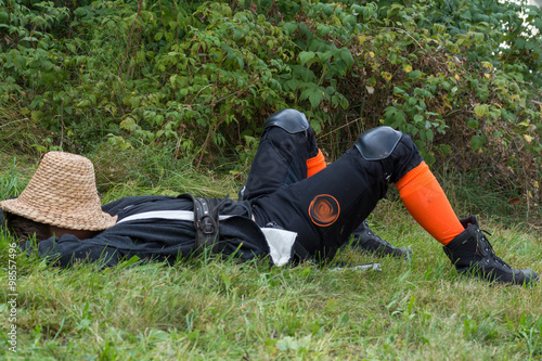 entspannt relaxen in der Wiese photo