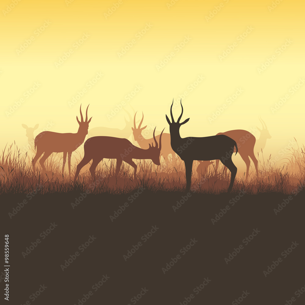 Fototapeta premium Vector illustration of wild horned animals.