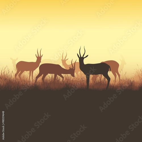 Vector illustration of wild horned animals.