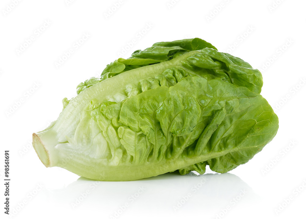 fresh baby cos (lettuce) on white background fresh baby cos (lettuce) on white background