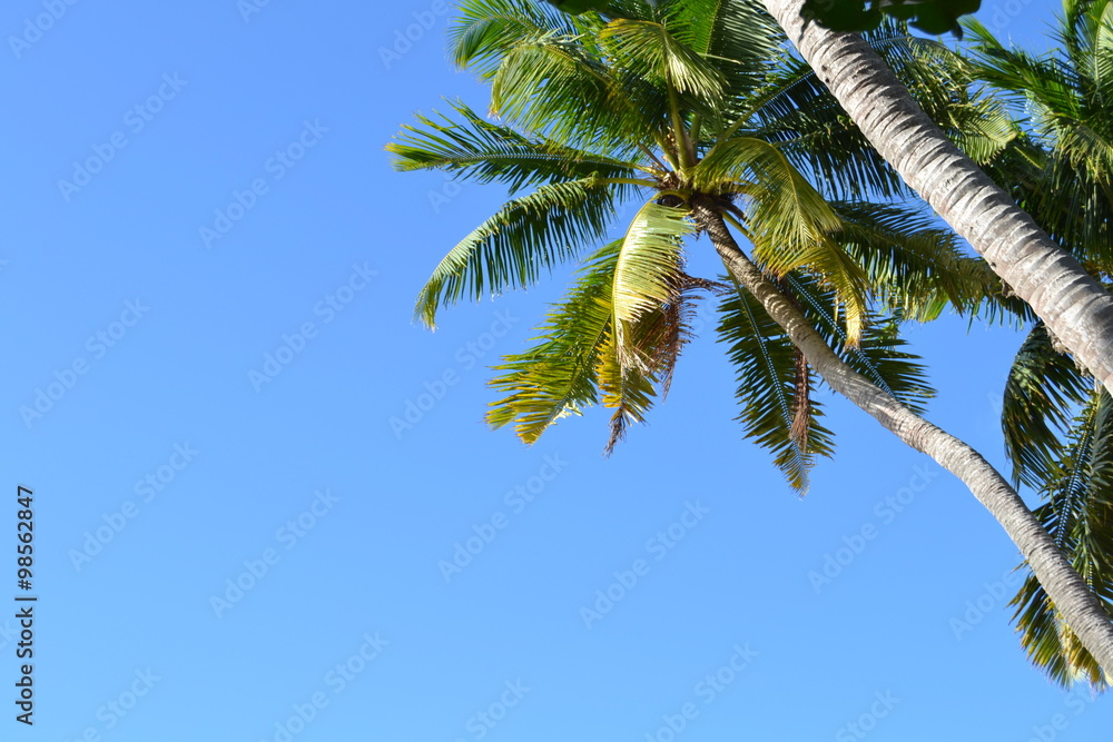 Clear Blue Sky Clear Blue Sky